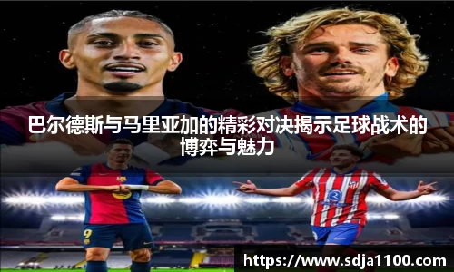 韦德体育