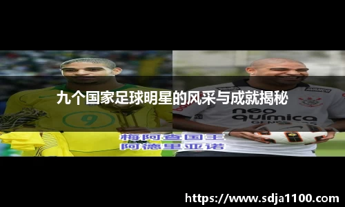九个国家足球明星的风采与成就揭秘